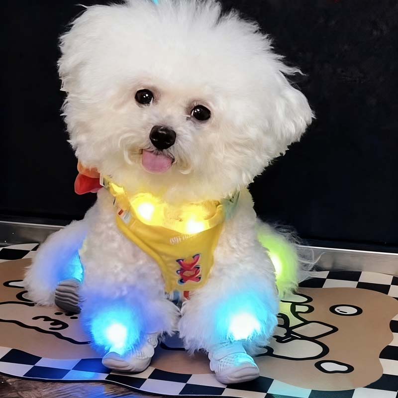 🌟 LED Dog Shoe Lights