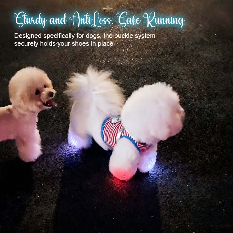 🌟 LED Dog Shoe Lights