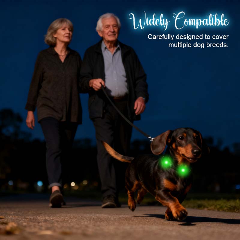 🌟 LED Dog Shoe Lights